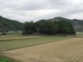 田園風景