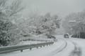 2016(平成28)年１月24日　大雪