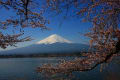 富士山の四季