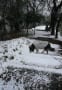 東京の雪景色