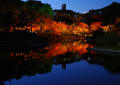 紅葉・・太田川沿い、縮景園　191122