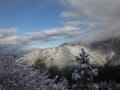 岳人の森の雪景色