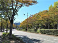 山口の風景