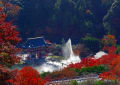 勝尾寺の紅葉