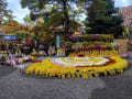 岐阜公園２０２１年　菊の花展示場と十八楼からの長良川
