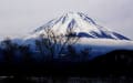 富士山眺望