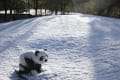 雪の第二住宅