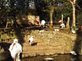 [95]動物園 鳥園２