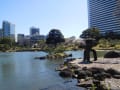 「旧芝離宮恩賜庭園」の桜