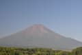 富士山　忍野 7