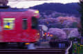 京阪と夜桜