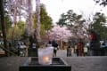 [26]氷室神社