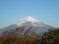 富士山・新年は・・・・・