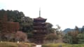 山口、寺/神社めぐり