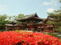 宇治　平等院