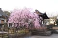 心の道　卯辰山山麓寺院群