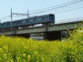 大和川河川敷にて（２０１４年４月１４日）