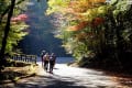 煌き・広島県緑化センター　171113