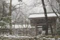 湖東三山　百済寺の雪景色（友人投稿）