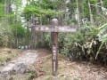 作場平登山口（一之瀬林道）->笠取山1953m