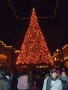 東京ディズニーランドのクリスマス　2011