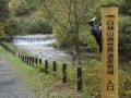 世界遺産・白神山地