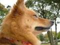 あの頃チャンネル(2010年04月18日～2010年04月24日)