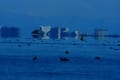 琵琶湖の蜃気楼