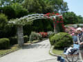 京都植物園・春から初夏へ