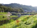 山の辺の道～北山の辺の道　マラニック風景