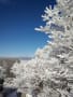 念願の雪山！