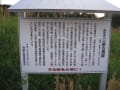 三納古墳群（宮崎県）2012