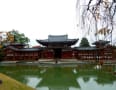 宇治の平等院と琵琶湖畔の石山寺