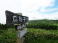 烏帽子岳・花散策　２０１６年６月２２日