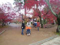 古都逍遥。。。京都の秋をぶらり