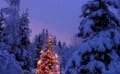 クリスマス用