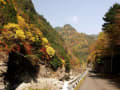 みたらい渓谷（天川村）の紅葉