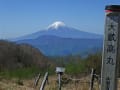 大月市の大蔵高丸とハマイバ丸に登りました