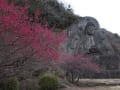 [5]日本寺摩崖大仏