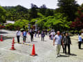 白毫寺　九尺ふじ　５月　ふじだな　見ごろ