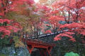 横蔵寺・華厳寺紅葉