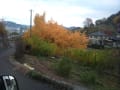 20121124