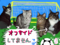 [4]らくがき２　サッカァ～ア?