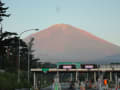 富士山きのこ散策