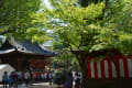 根津神社