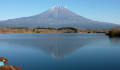 山登りとウォーキング