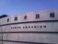 京都水族館 2012.03.11