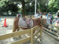 五月山動物園