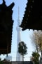 牛島神社とスカイツリー