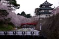 2015年弘前公園の桜